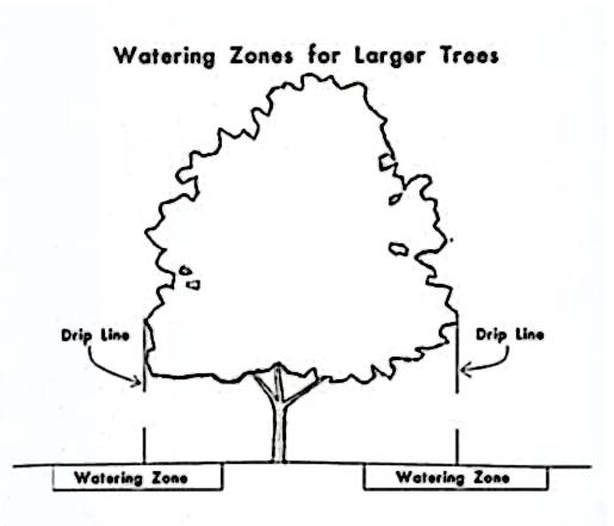 LINK-SOIL TREATMENT FOR ALL TYPES OF TREES